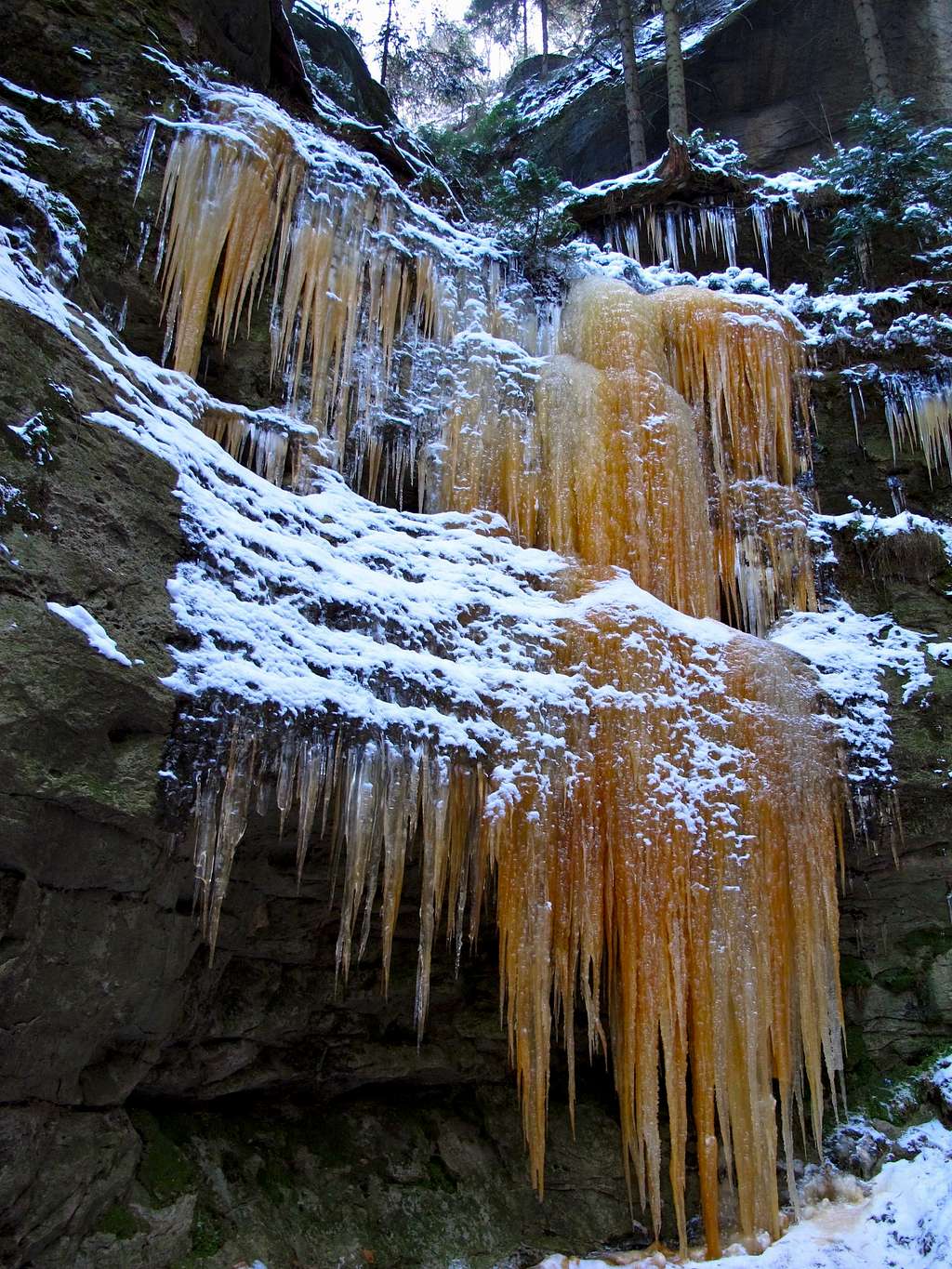 Orange colored icicles on a sandstone cliff