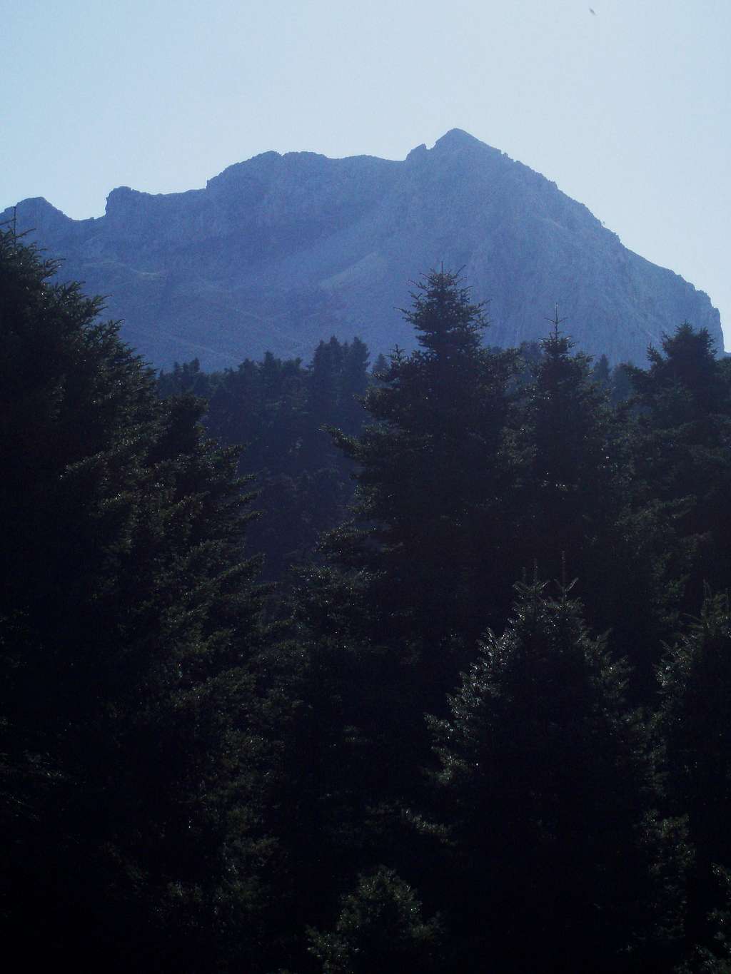 The dense fir forest and the 1418m. peak in the background