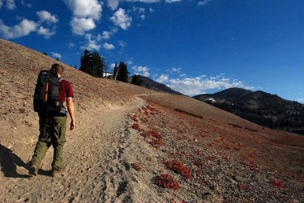 Trail to South Sister