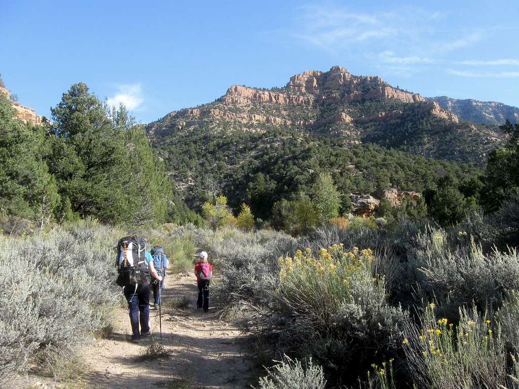 Near the trailhead