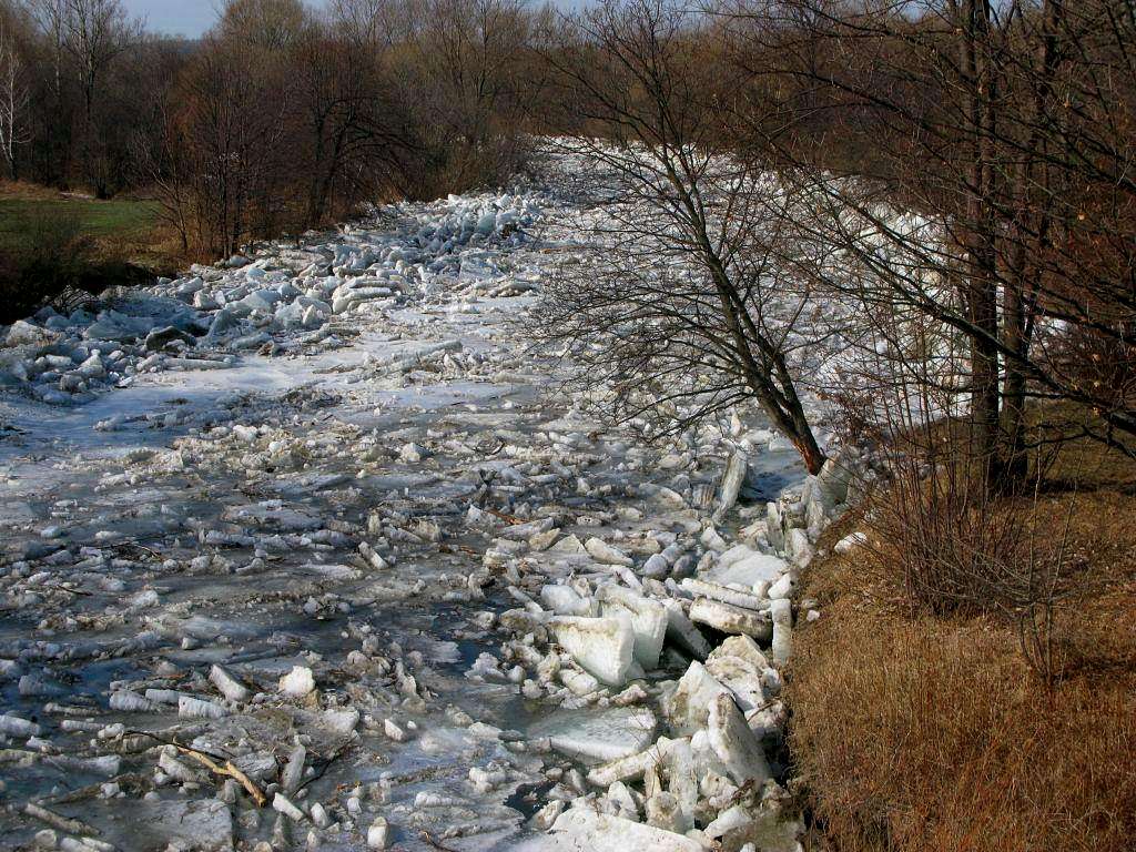 The River Jasiolka - 10-03-2012