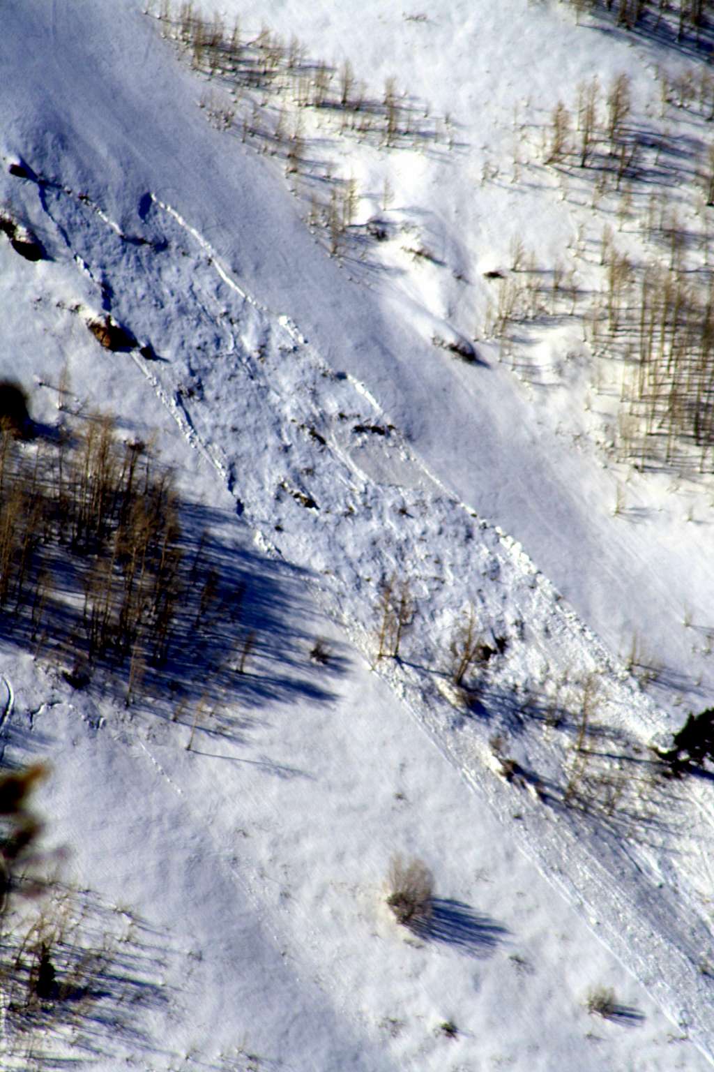Meadow Chutes Avalanche