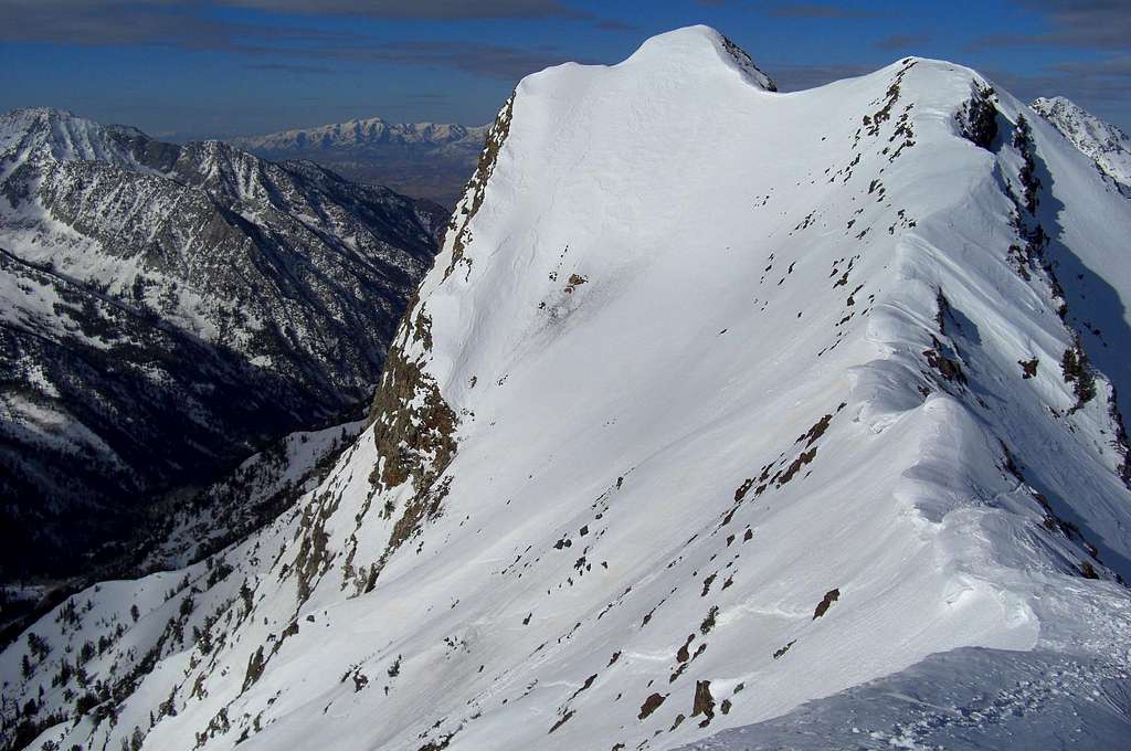 Monte Cristo's summit.