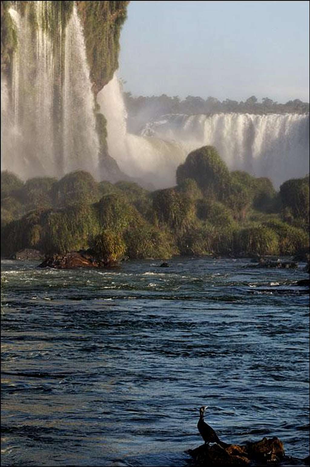 Phalacrocorax brasilianus and iguaçu falls, iguaçu national park, brazil