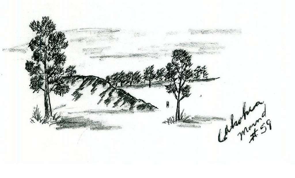 Cahokia Mound #59