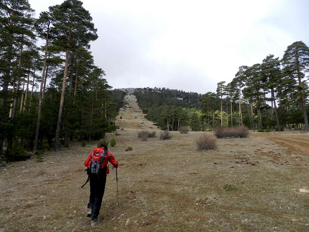 Wide ramp to the summit