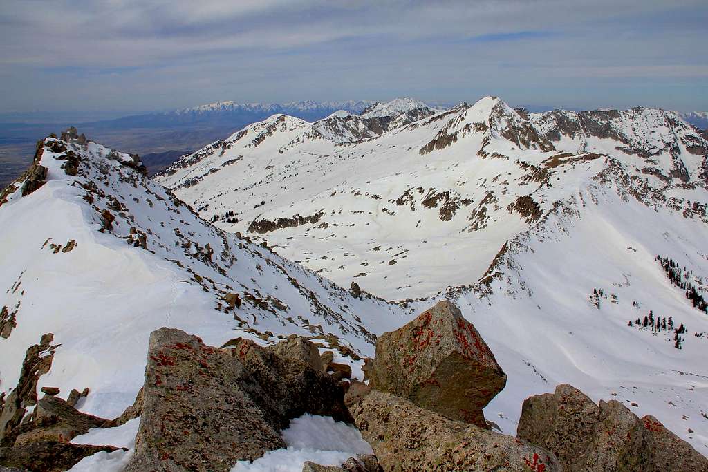 Alpine Ridge from White Baldy.