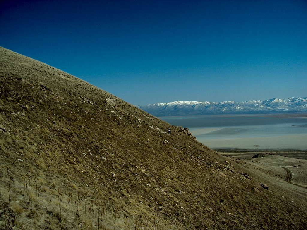 Sentry Hillside