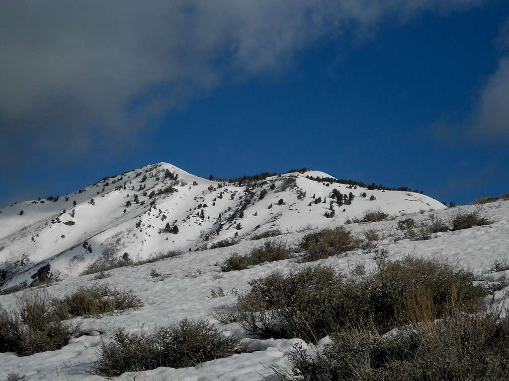Johnstone Peak