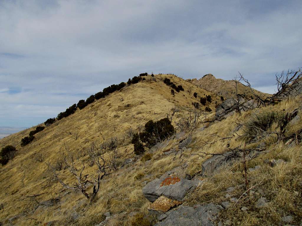 Ridge Crest, Castle Rock Behind