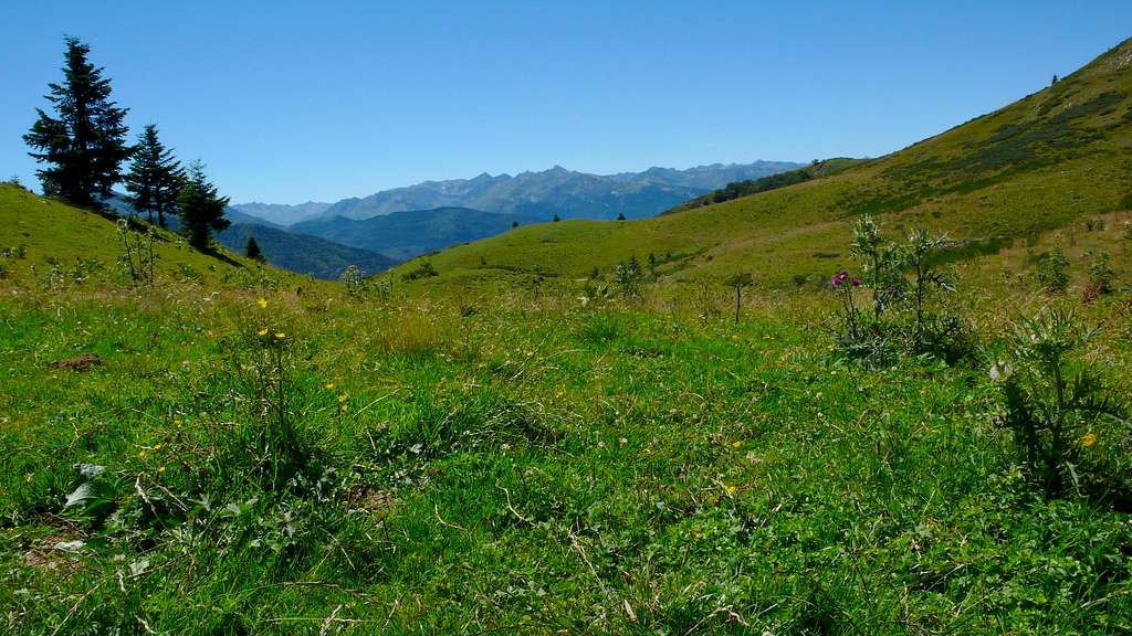 Col du Pradel: Pyrenean meadow in the Ariège