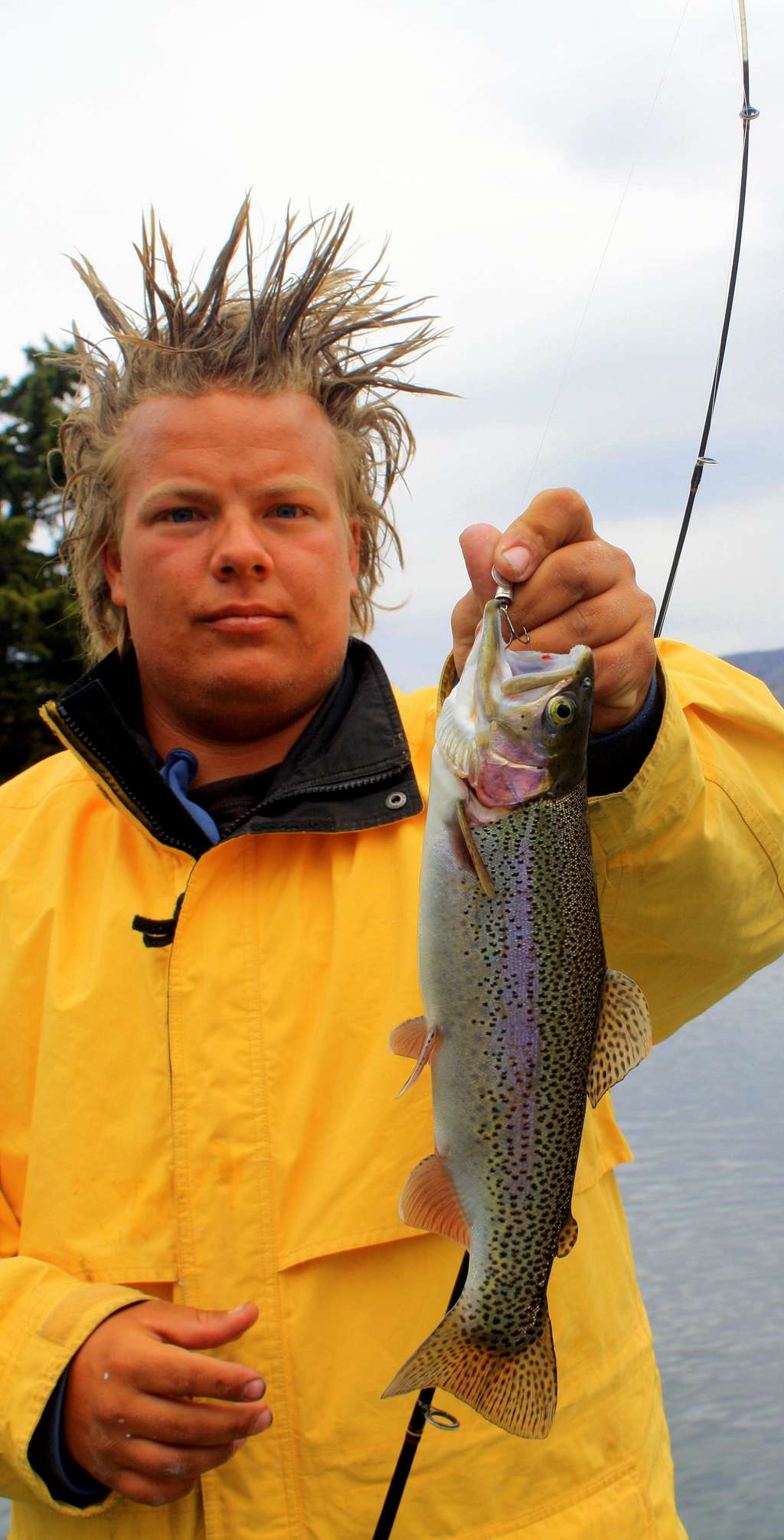Fish Lake Rainbow Trout