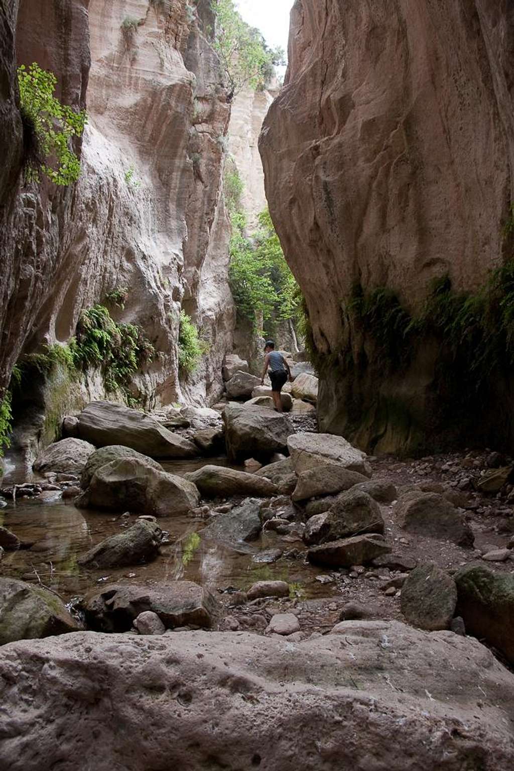 Avakas Gorge