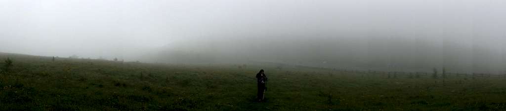 Foggy on Mount Rogers
