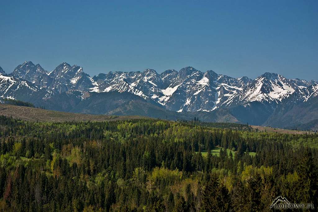 High Tatras from Lapszanka