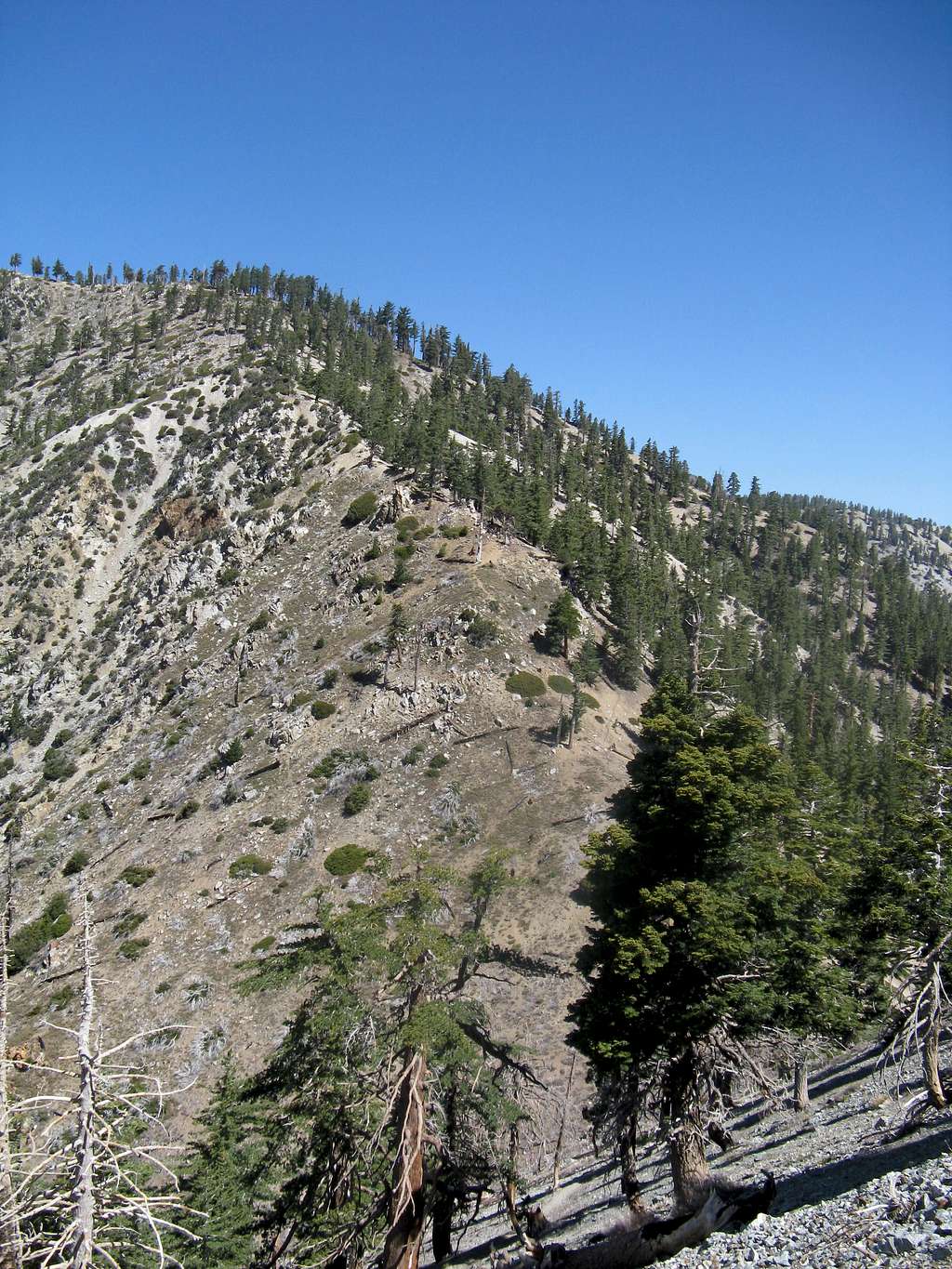 Bighorn ridge to Cucamonga trail