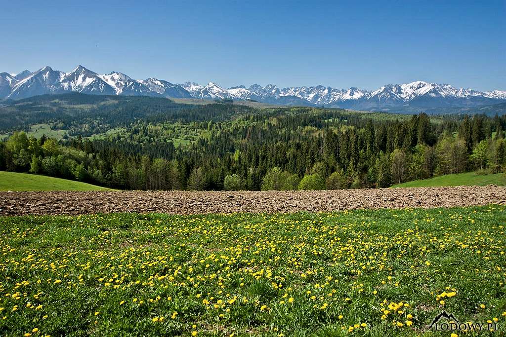 Tatra mountains from Lapszanka