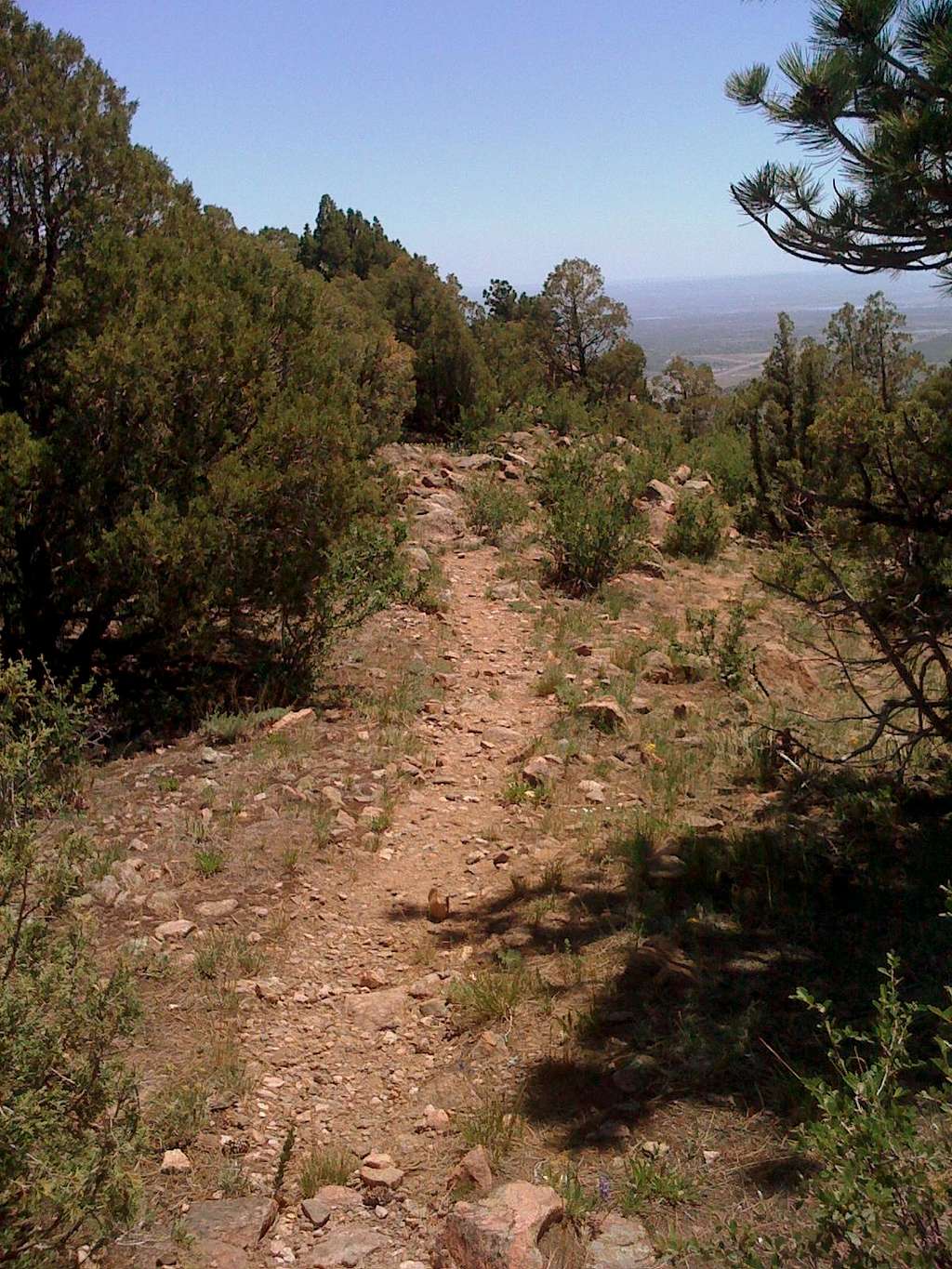 South Ridge Trail.