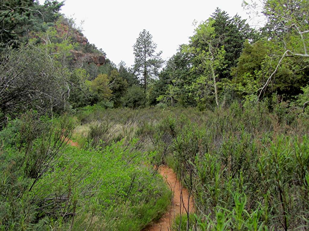 Huckaby Trail along Oak Creek