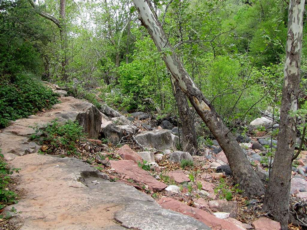 Huckaby Trail along Oak Creek