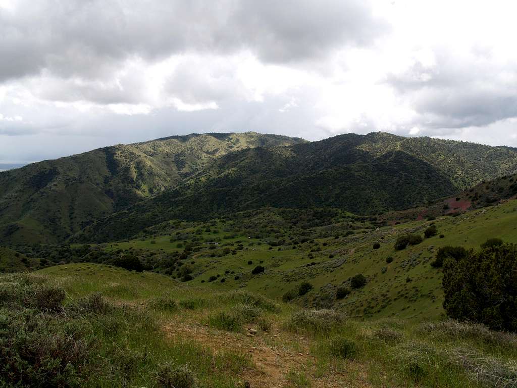 South of Cerro Colorado