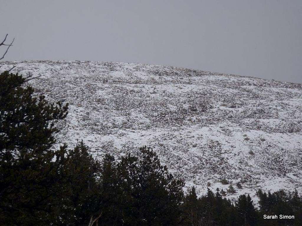 Western Talus Slopes