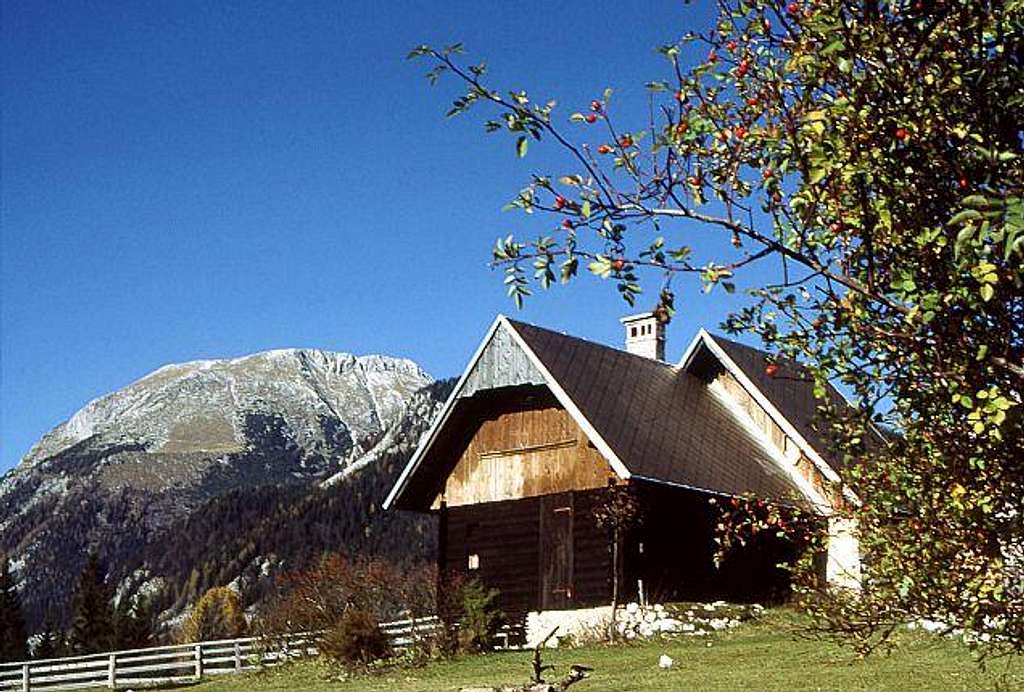 On Uskovnica alpine meadows....