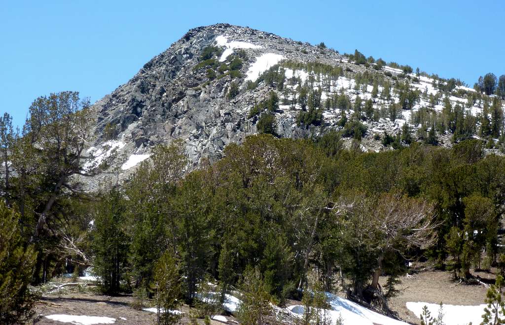 East face of Robinson Peak