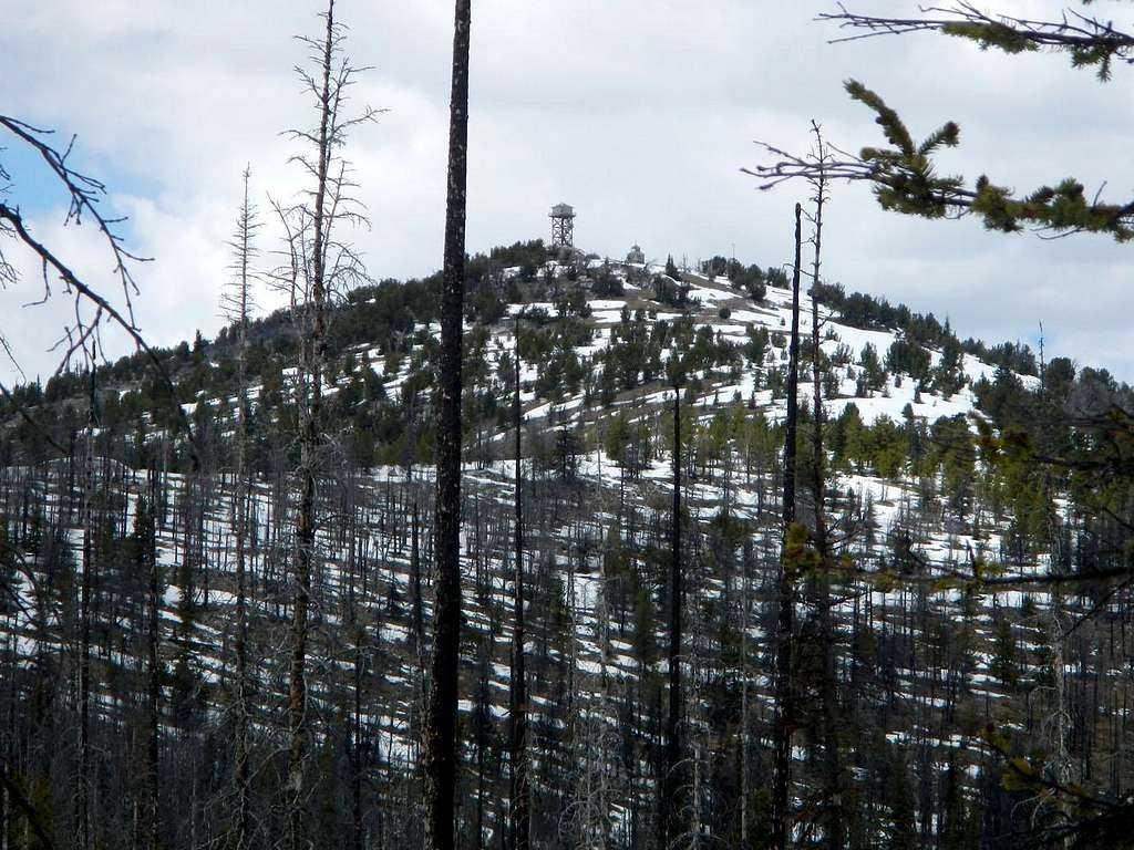 The Lookout Above