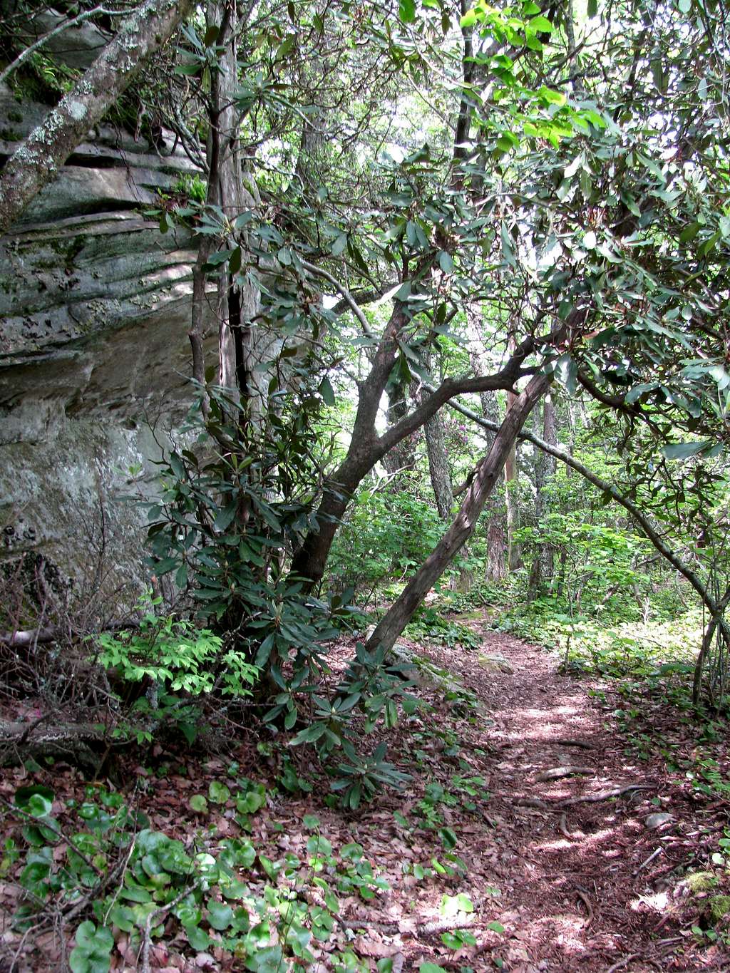 Ledge Trail
