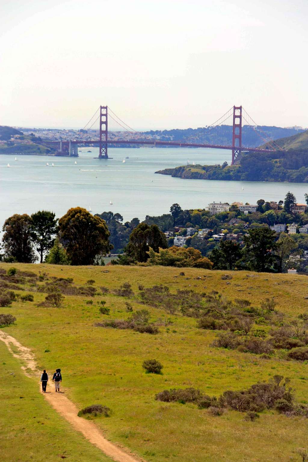 Golden Gate Bridge from the Tiburon Uplands