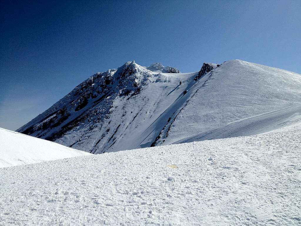 Shasta summit 