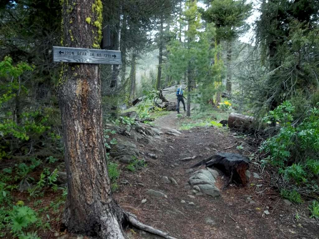 Trail head up to Iron Bear