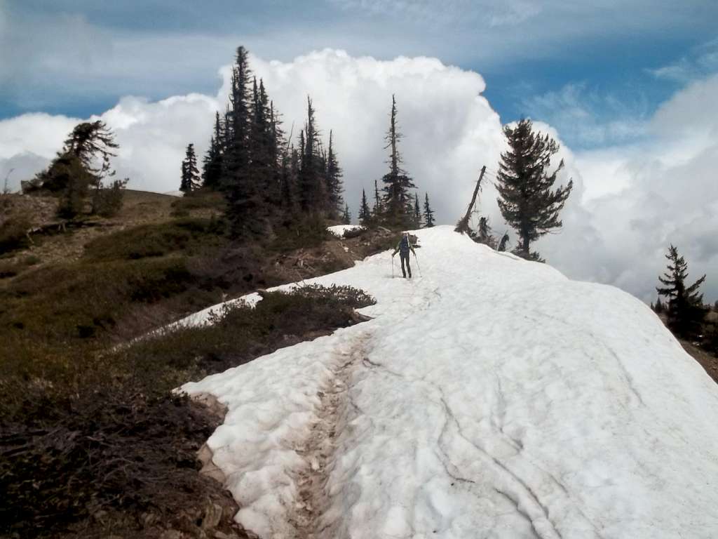 Zephyr crossing a snowfield while heading up
