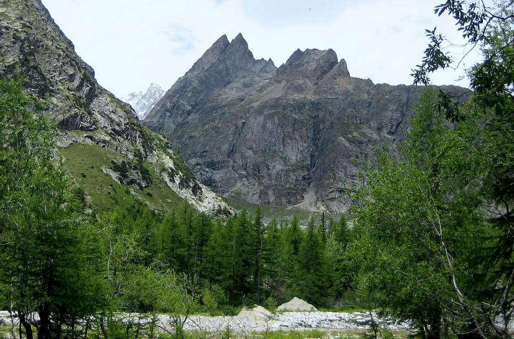 View of Aiguille de Triolet from Val Ferret