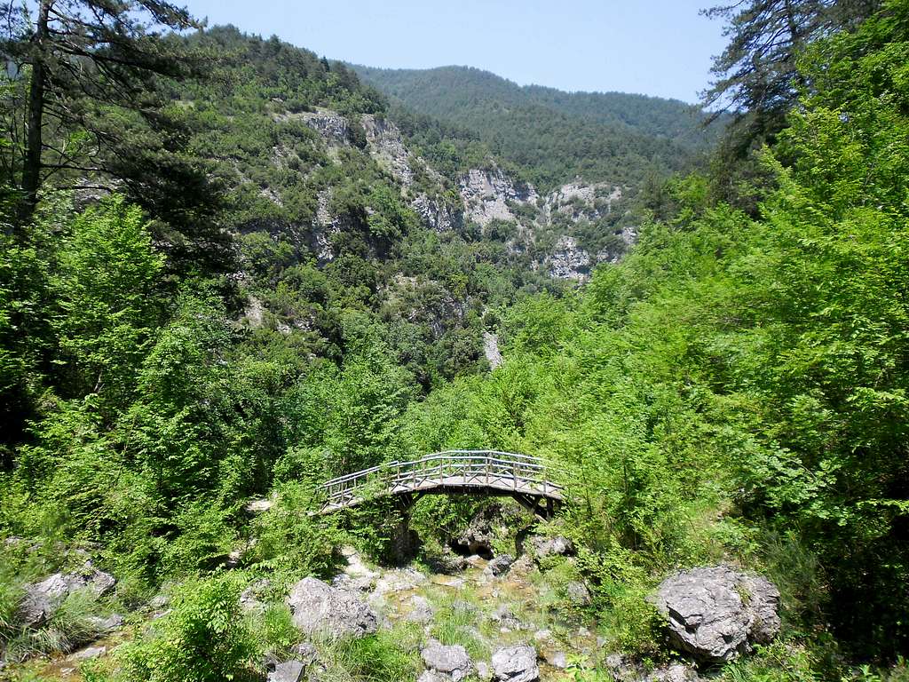 One of the many bridges from Enipeea Canion