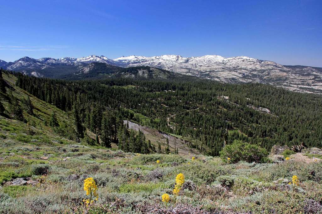 Desolation Wilderness peaks from the trail to Ellis Peak