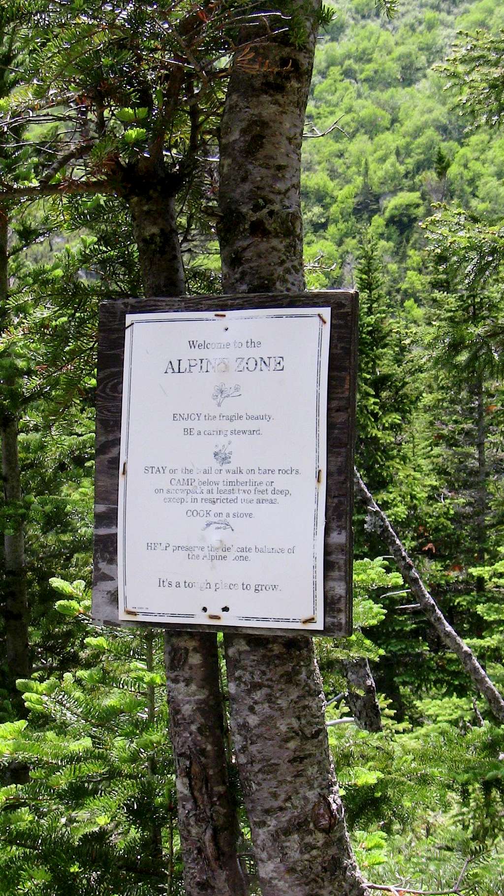 Alpine Zone Sign