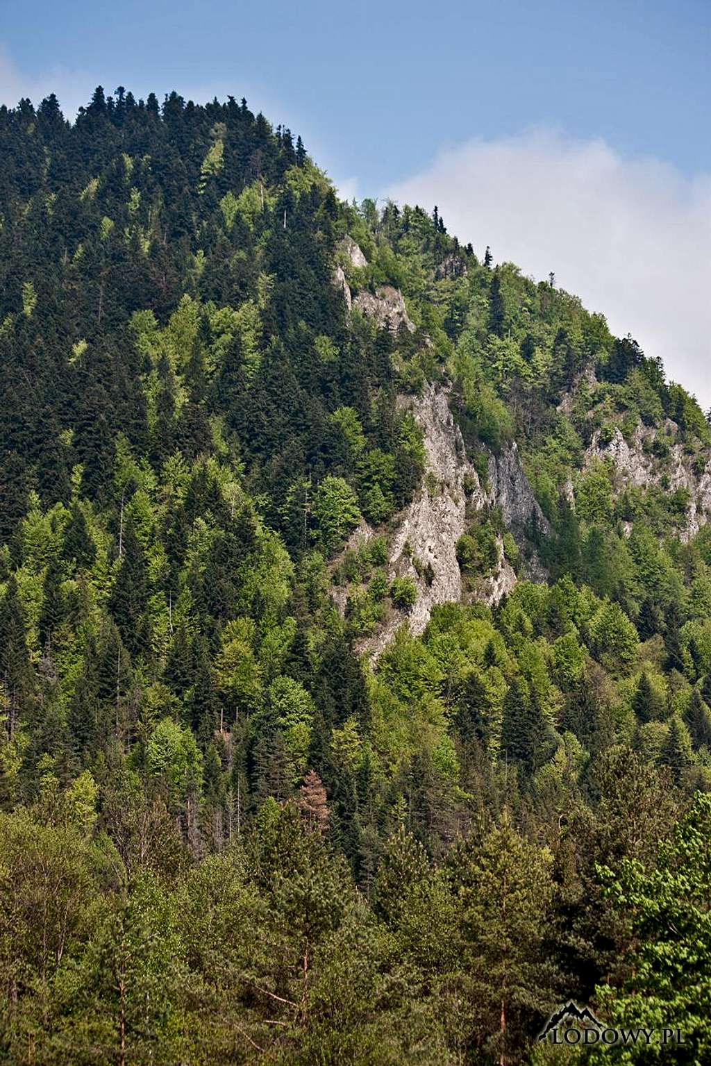 Lysina cliffs and forests