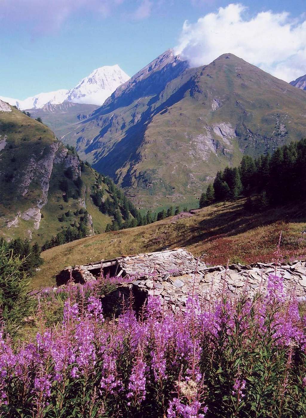 CRYSTALS OF THE MONTE BIANCO (The Crystal Hunters First Part)