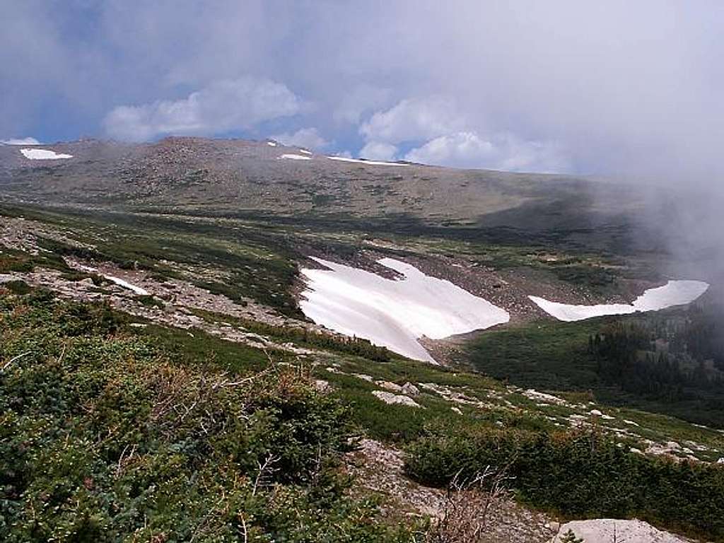 Alpine Area on Longs Peak Trail