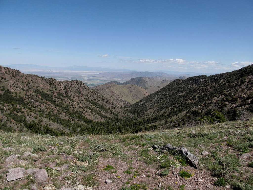 View from Saddle