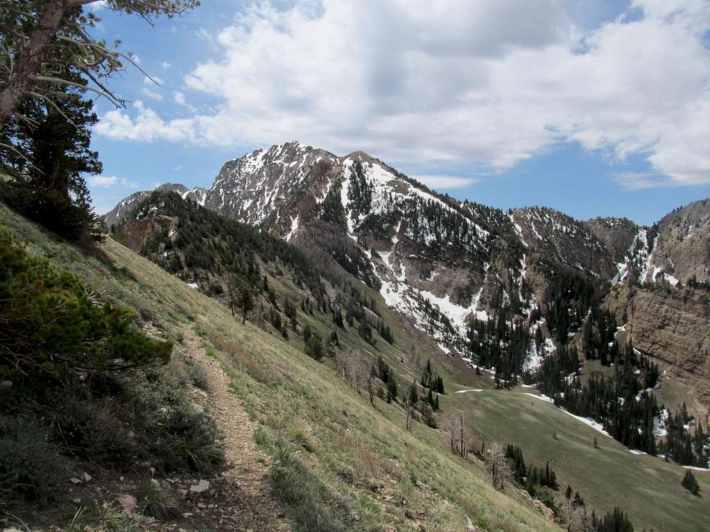 Deseret from Pocketts Fork Route