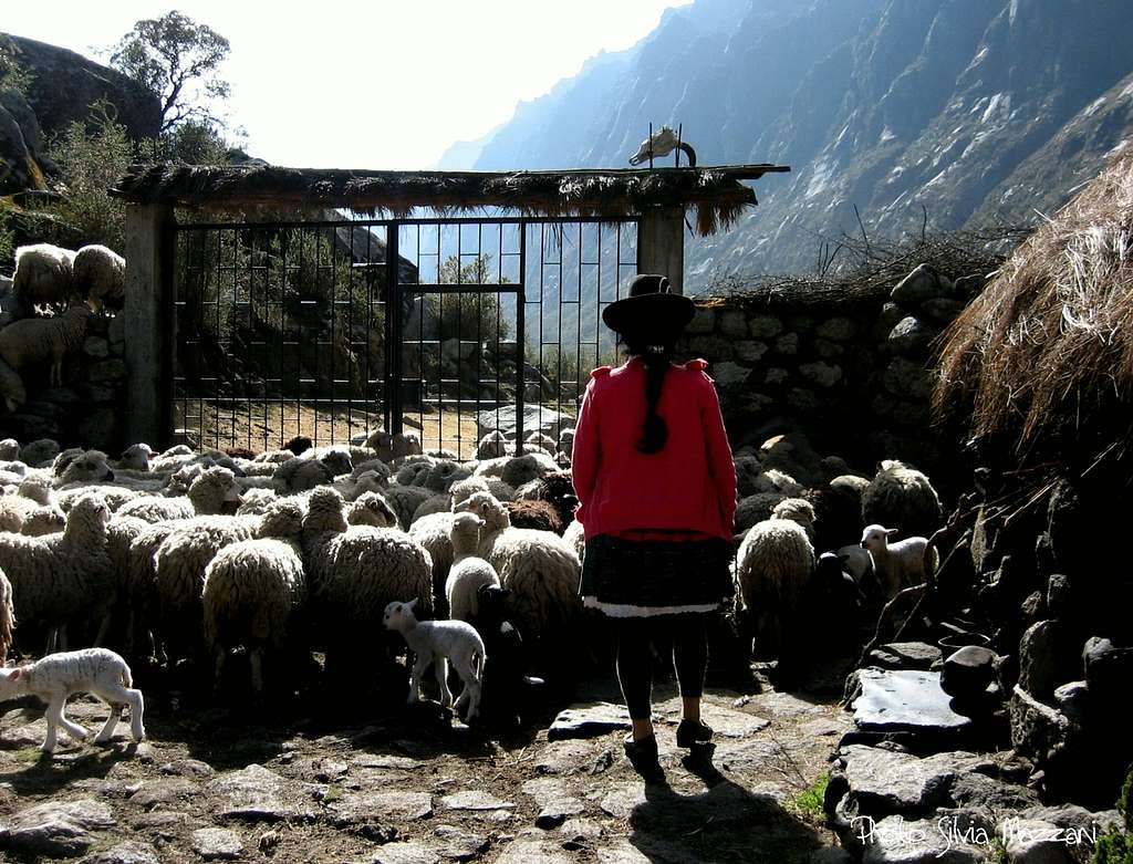 A shepherd-girl near the admittance-gate of Quebrada Quilcayuanca