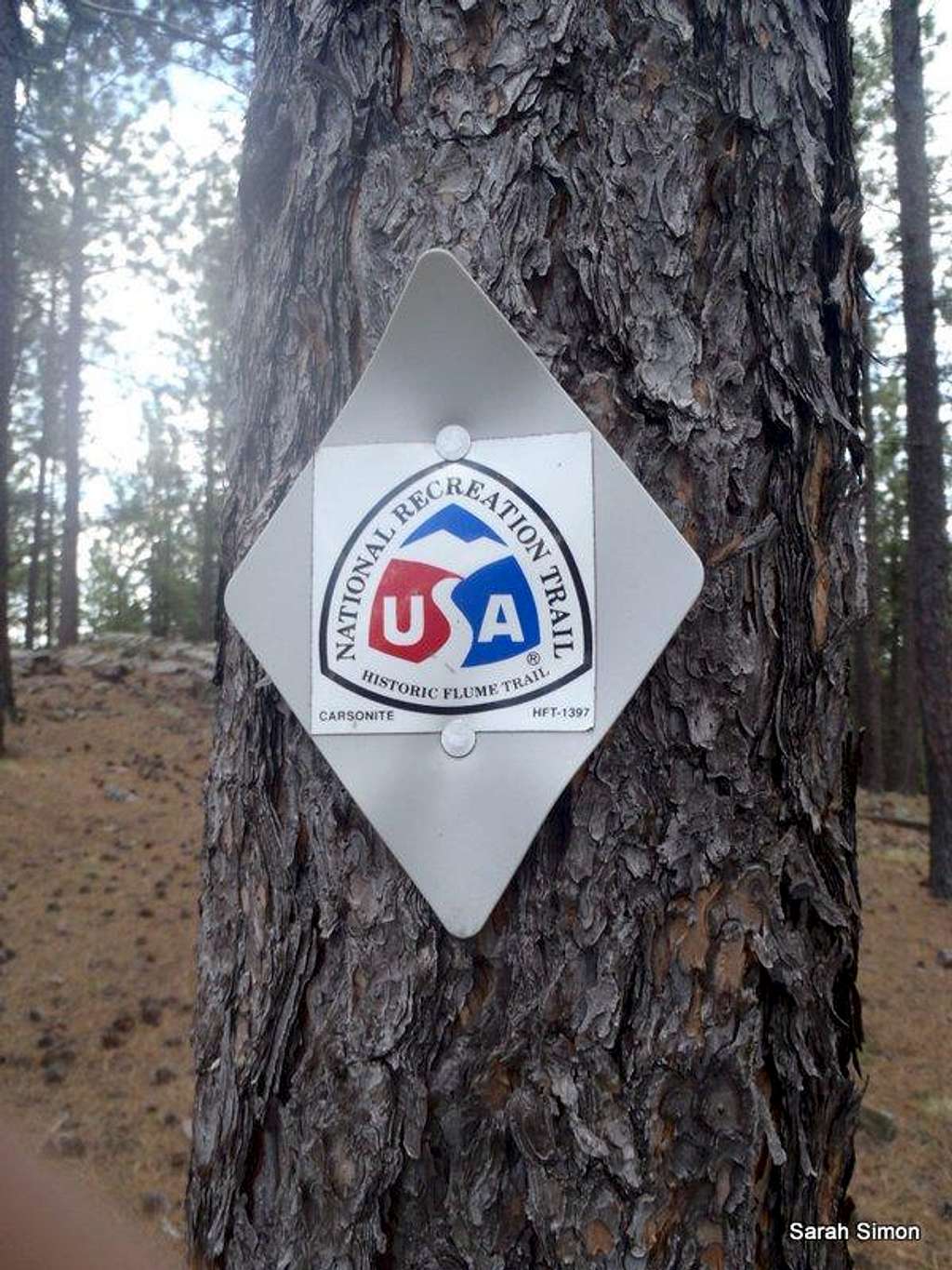 Trail Signage (a)