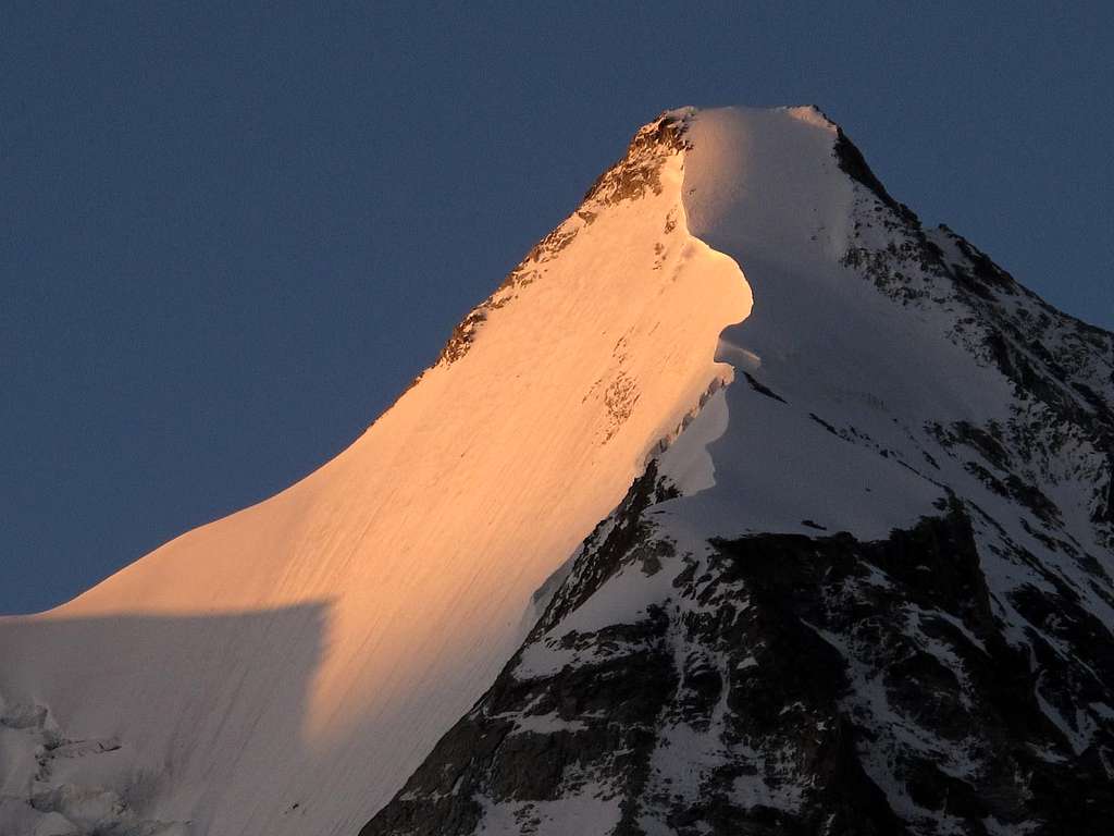 The ice wall (north face) of Obergabelhorn in sunrise glow
