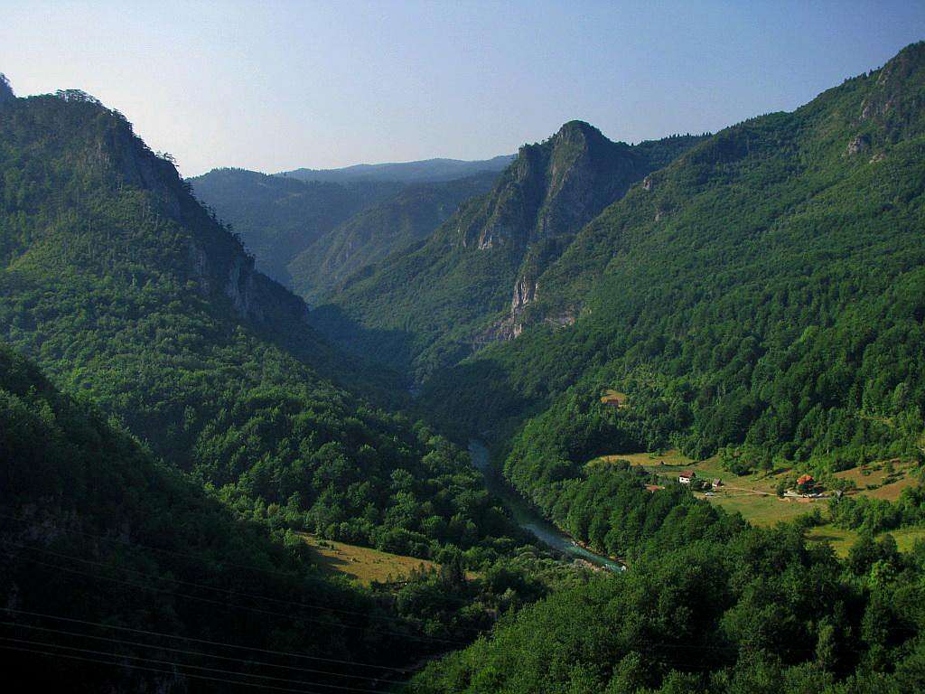 Tara Valley