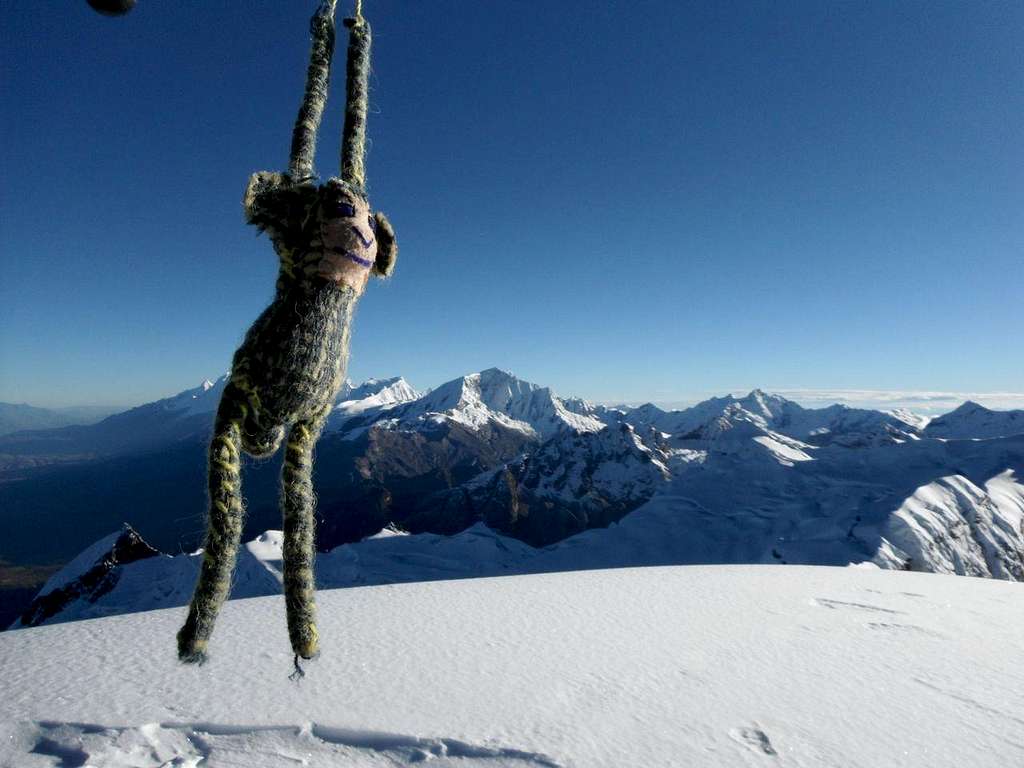Expedition mascot in the summit.