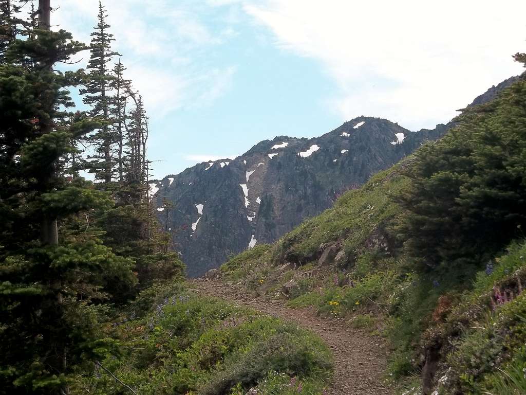 At the pass between Welch Peaks and Mount Townsend