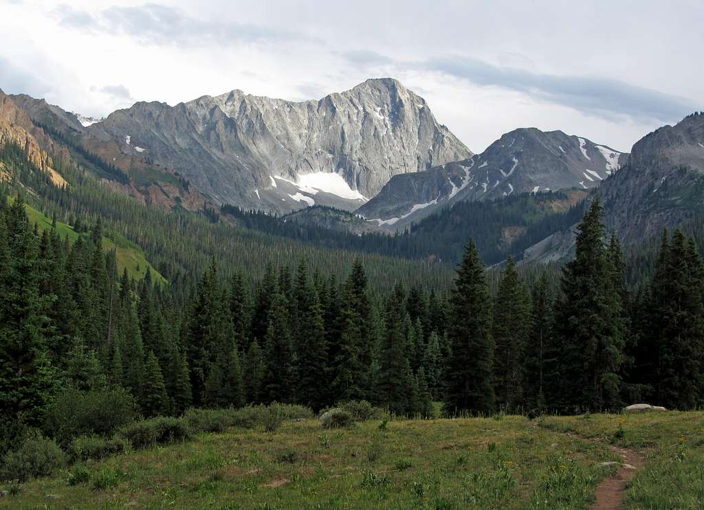 Capitol Peak over meadow